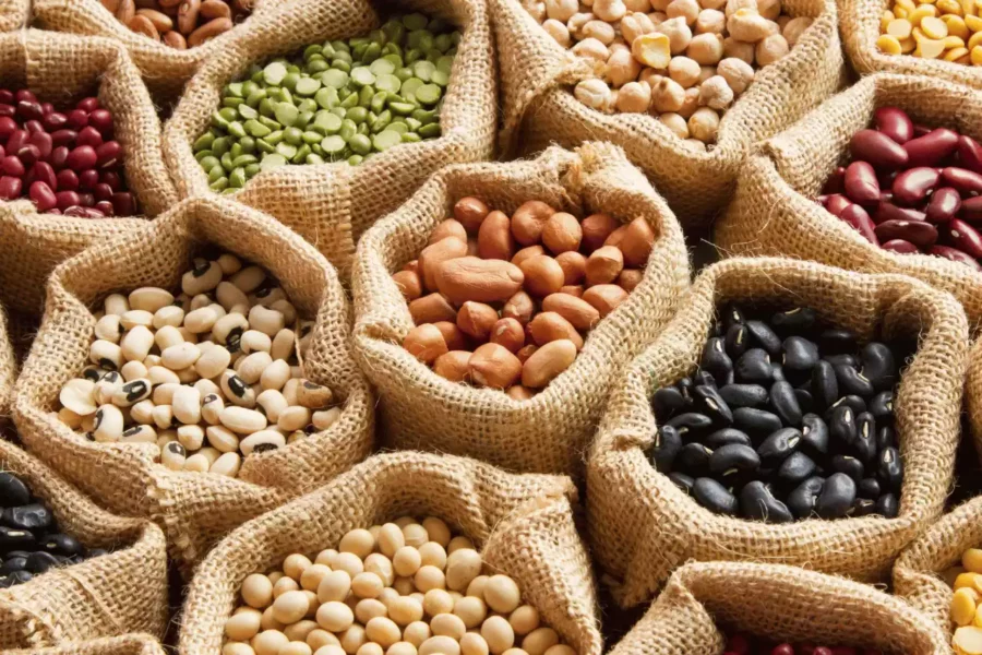 çuvallar içinde çeşit çeşit bakliyatlar