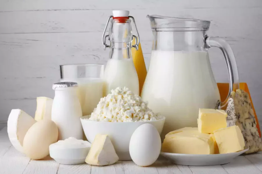 beyaz fonda süt yumurta peynir gibi süt ve süt ürünleri