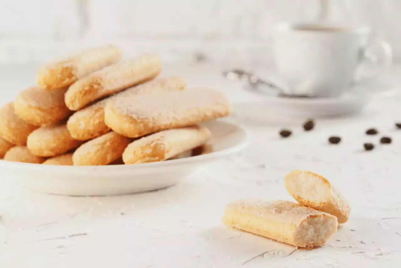 kahveyle birlikte sunulmuş 1 tabak kedidili