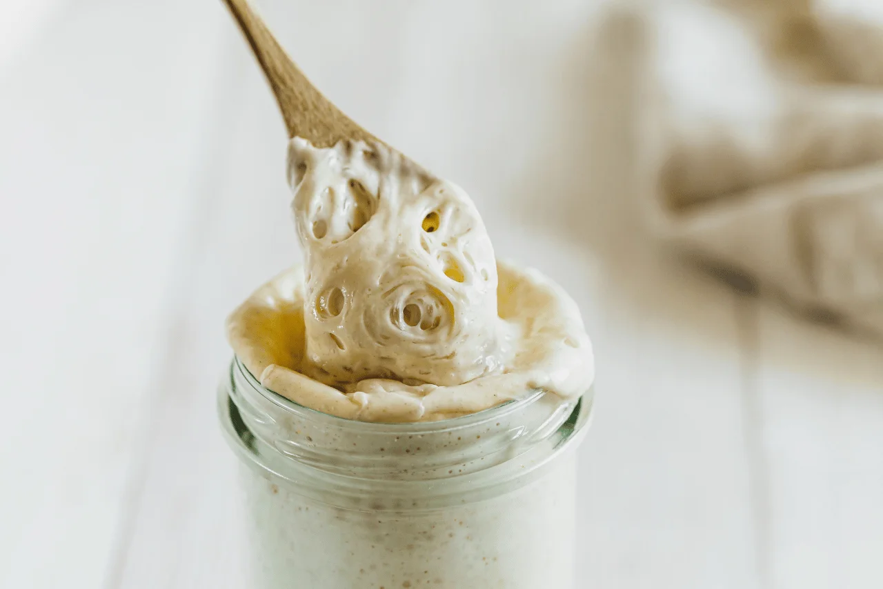 Ekşi maya kavanozları, ev yapımı ekmek mayalama için hazırlanmış