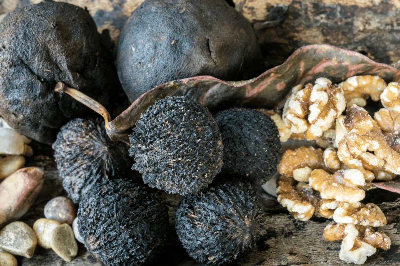 Siyah kabuklu yaş ceviz ve iç ceviz parçaları