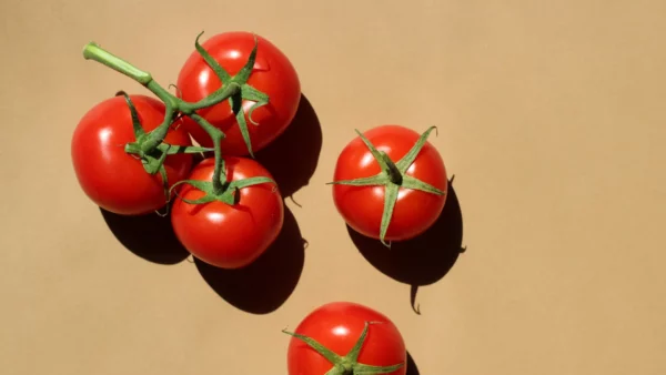 Domates sosu kışlık yapımı