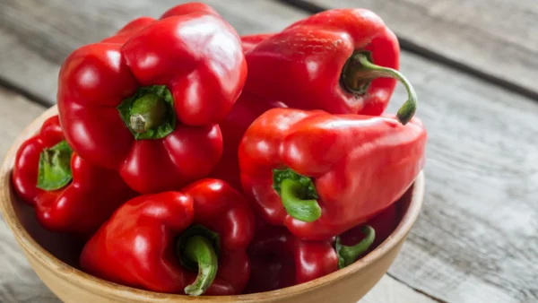 Kışlık kapya biber sosu yapımı